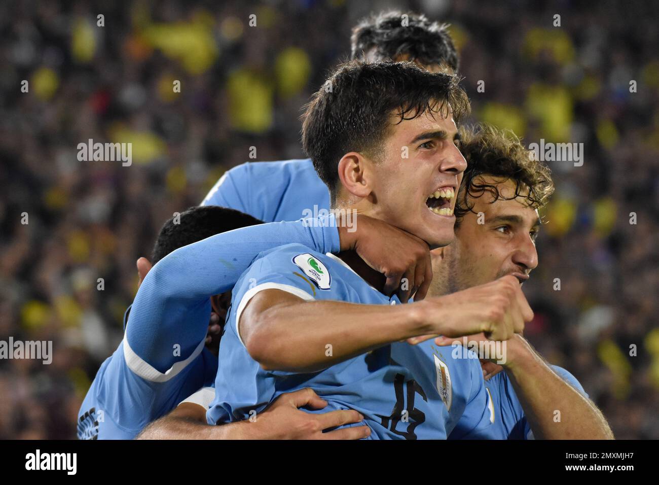 Federacion uruguaya de futbol hi-res stock photography and images - Alamy