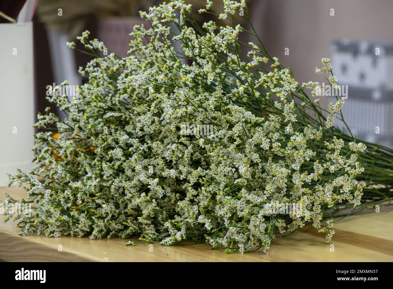 limonium blooming bouquet white small flowers as a background Stock ...