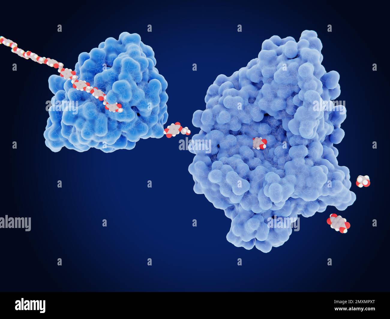 Plastic degrading enzymes, illustration Stock Photo Alamy