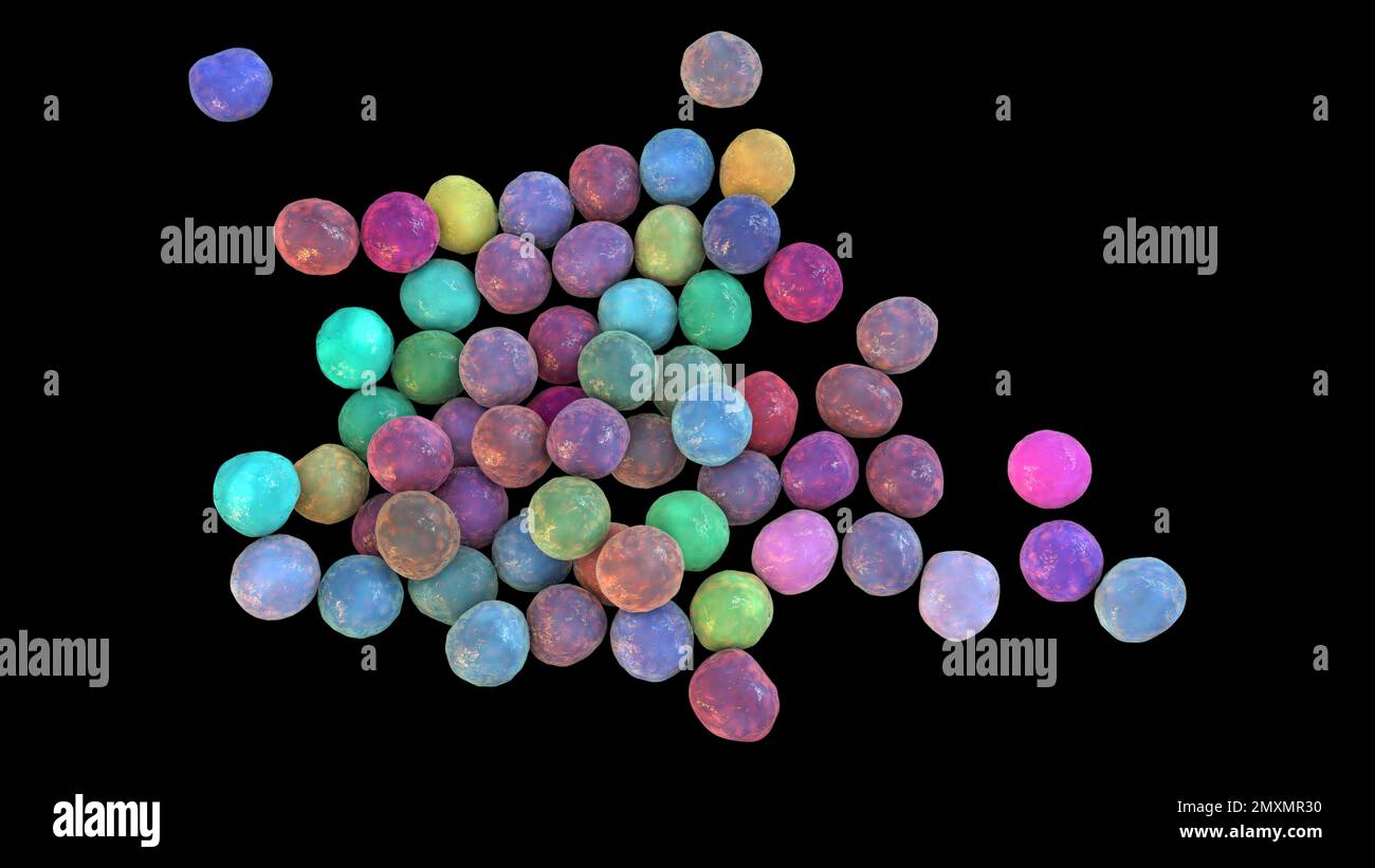 MRSA bacteria, illustration Stock Photo Alamy