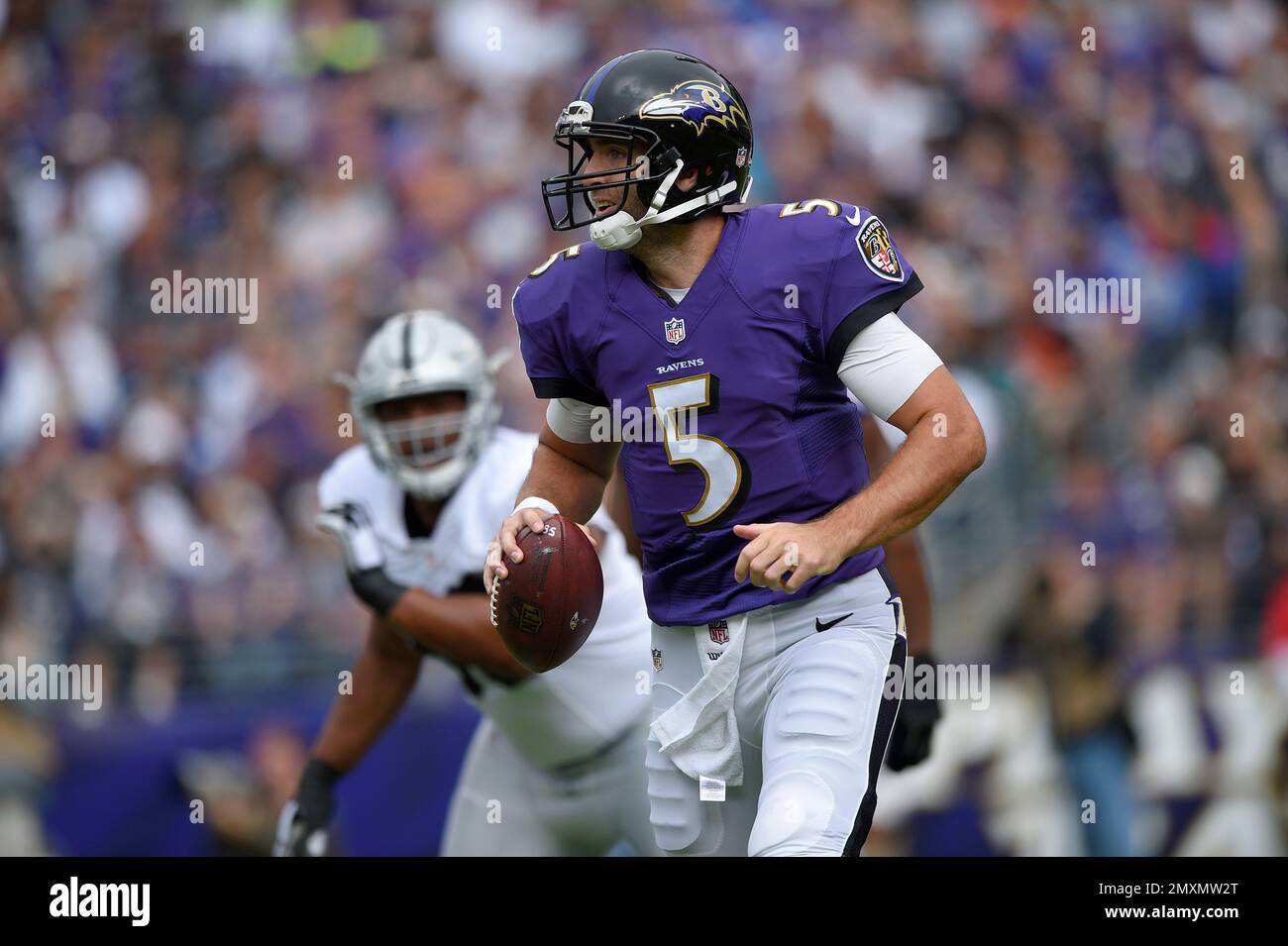 Baltimore Ravens QB Joe Flacco (5) drops back to pass in the first