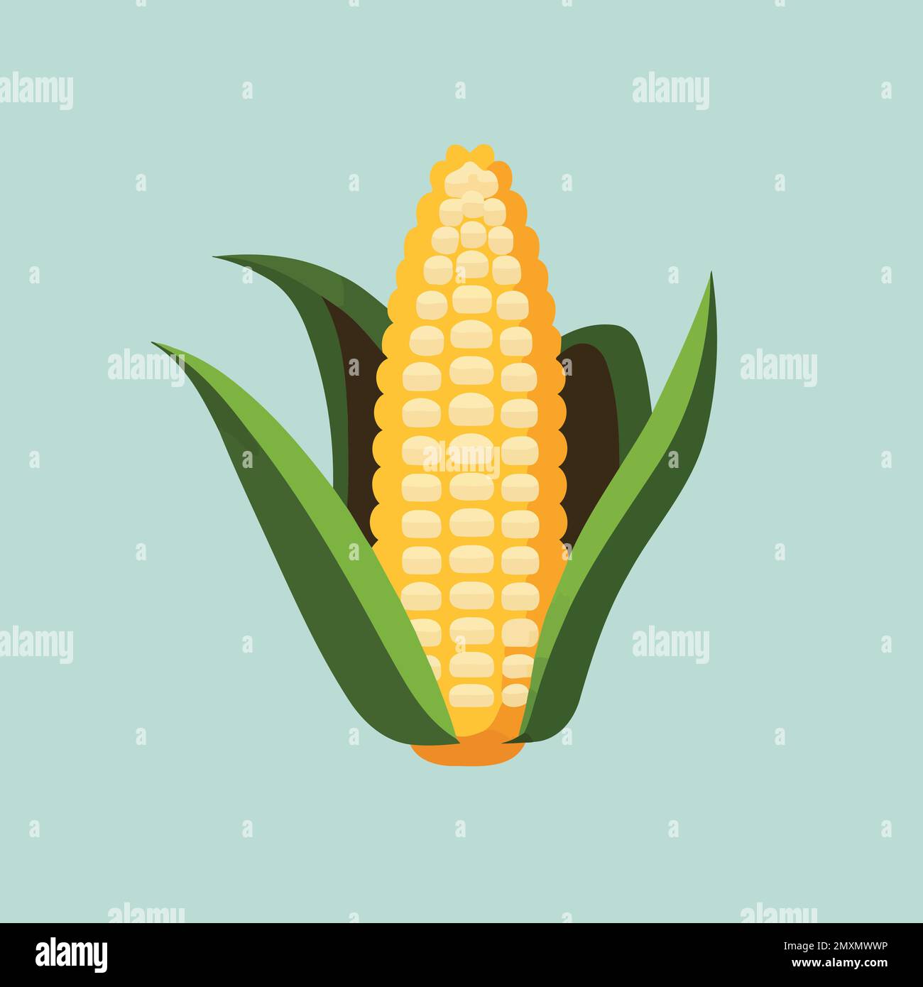ripe corn on the cob vegetable food colorful vector illustration Stock ...
