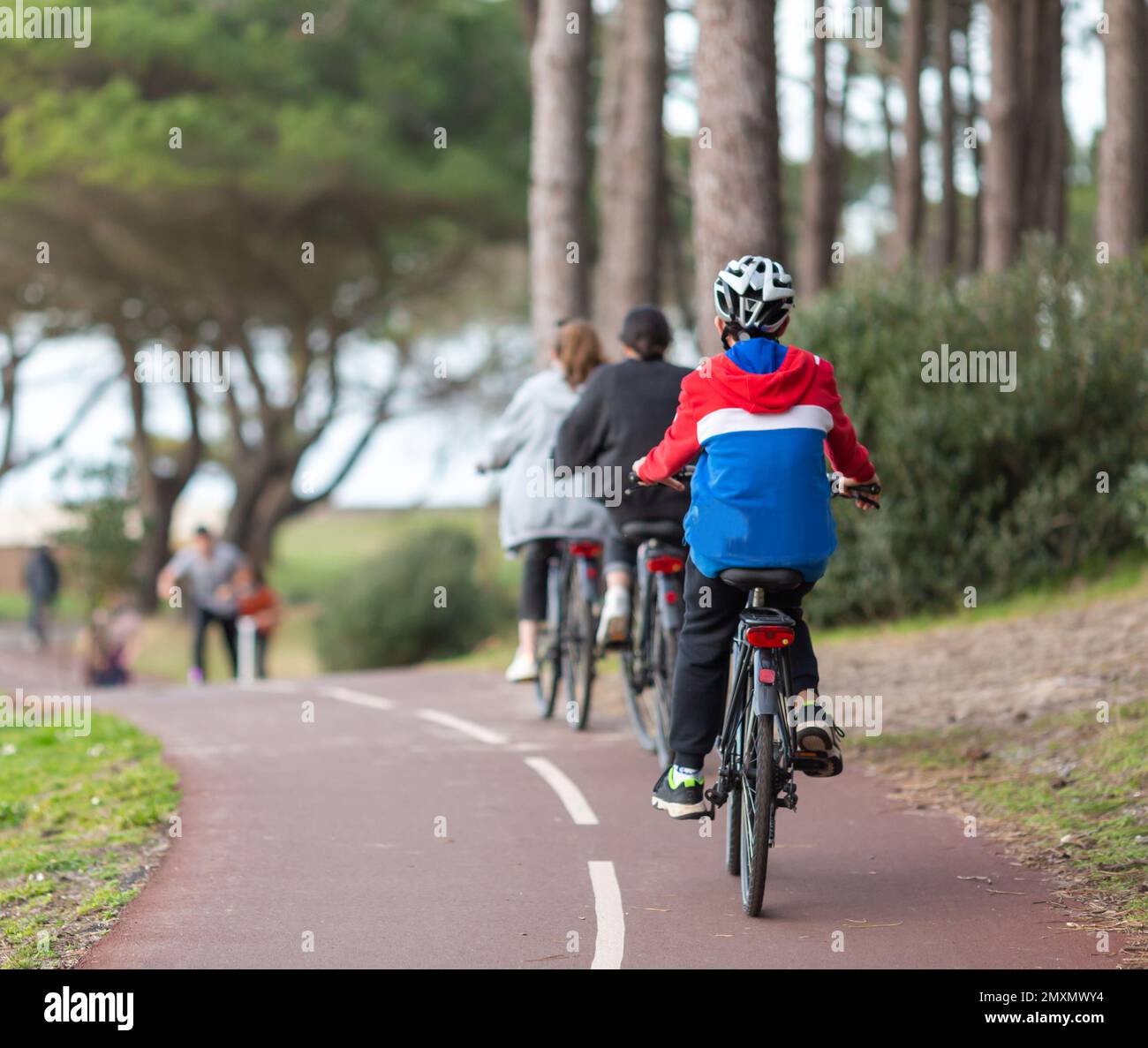Person riding a bicycle on a cycle path Stock Photo Alamy