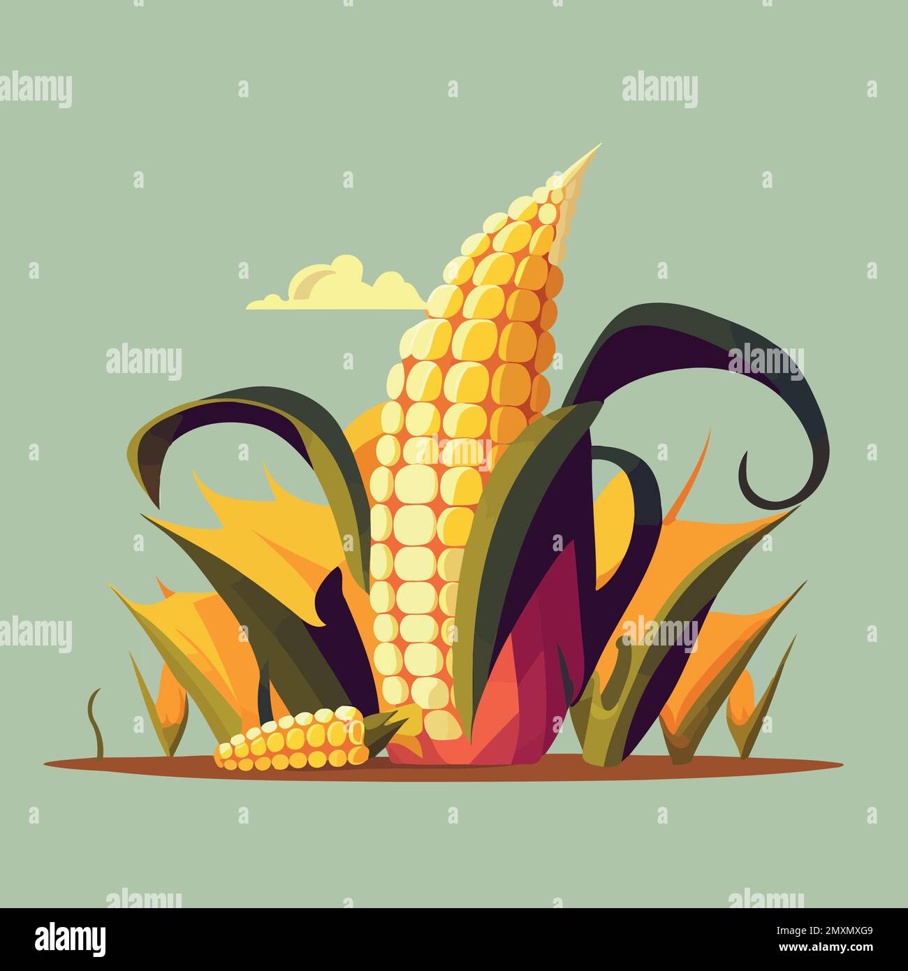 ripe corn on the cob vegetable food colorful vector illustration Stock ...