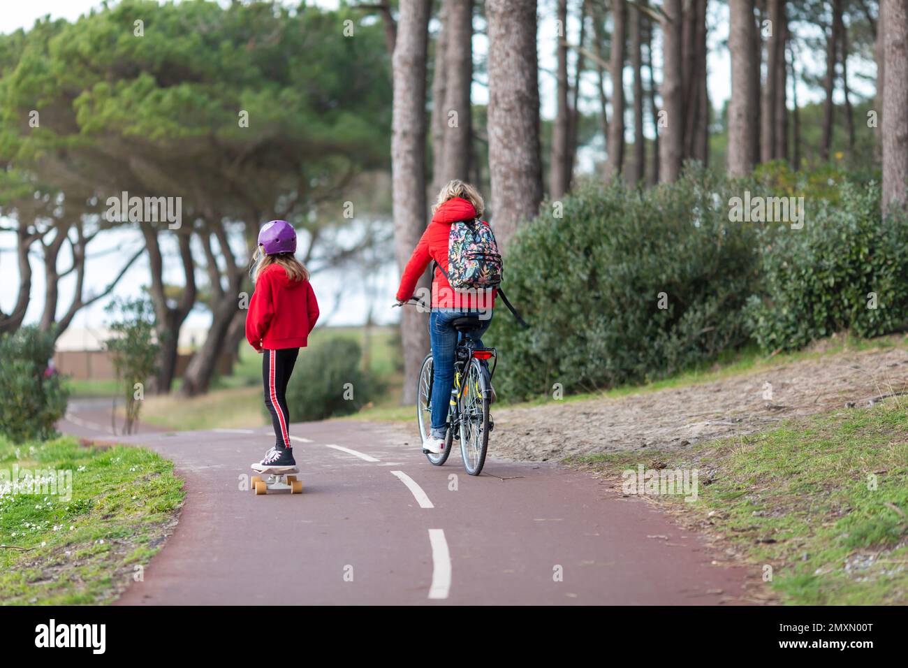 Person riding a bicycle on a cycle path Stock Photo Alamy