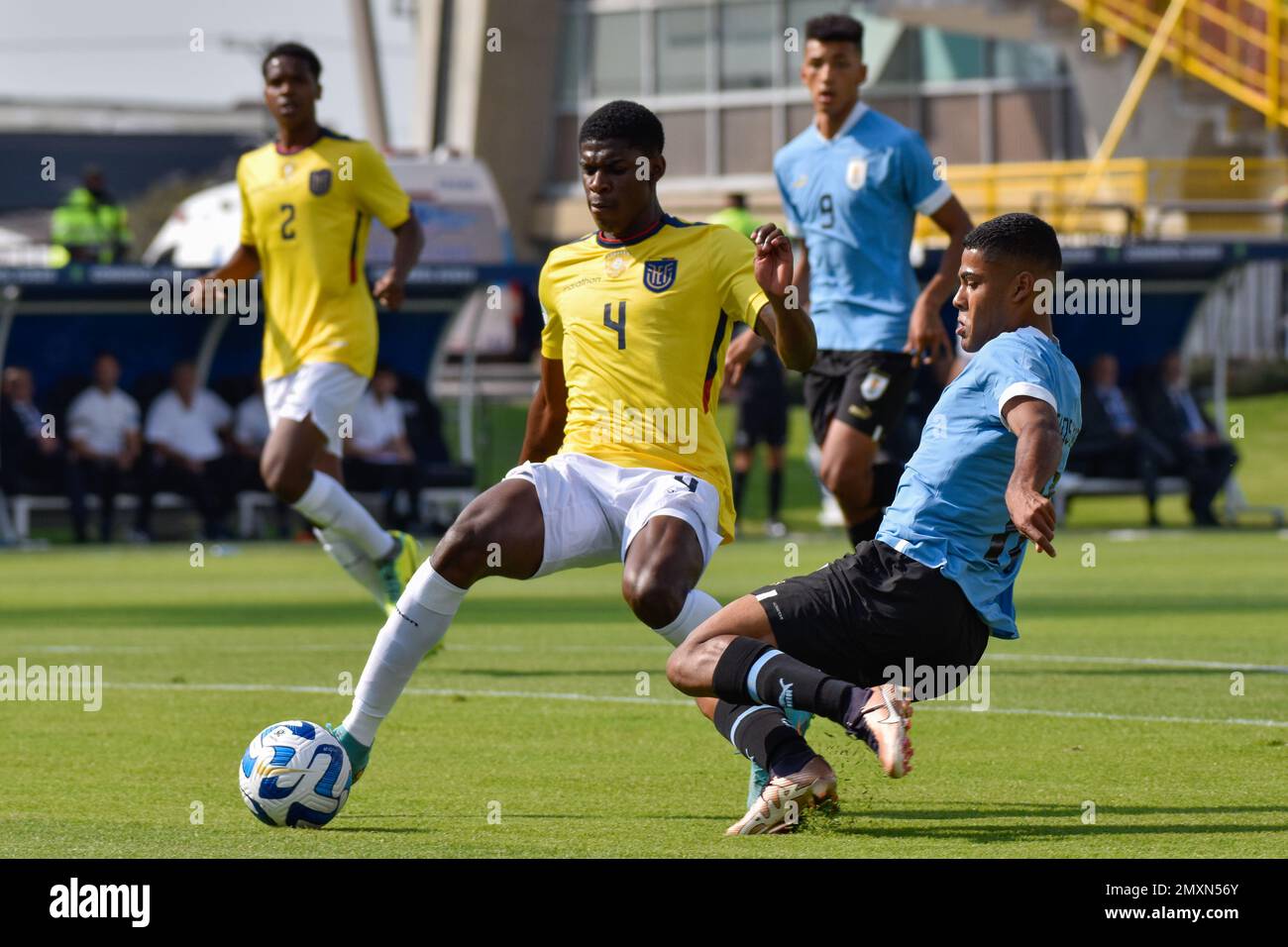 Federacion uruguaya de futbol hi-res stock photography and images - Alamy