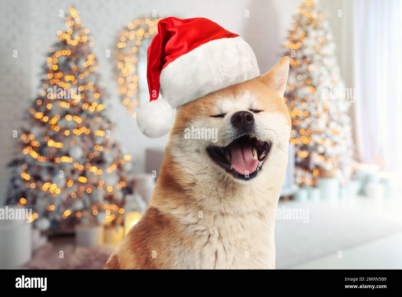 Akita christmas sales