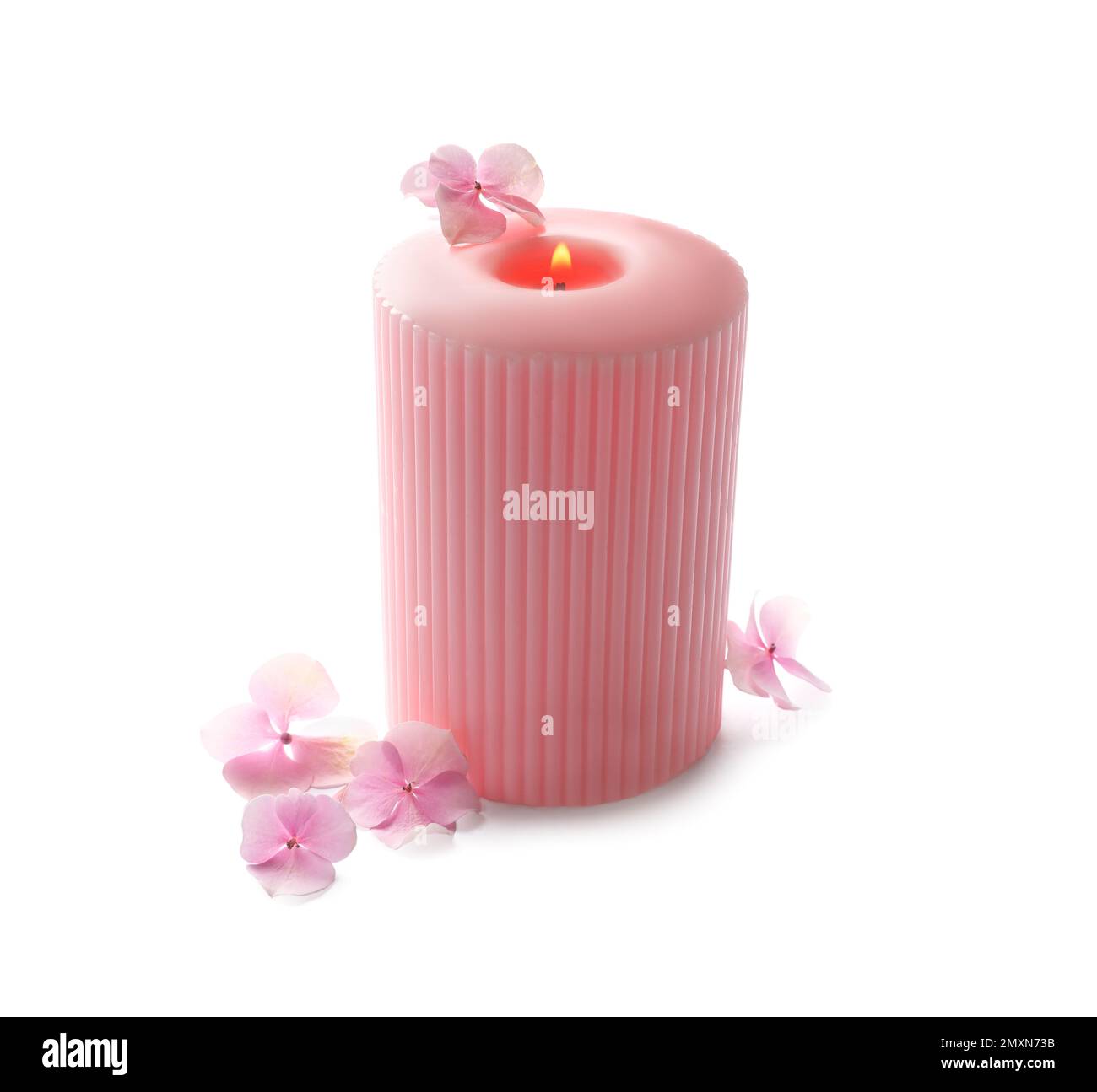 Burning pink wax candle and flowers isolated on white Stock Photo Alamy