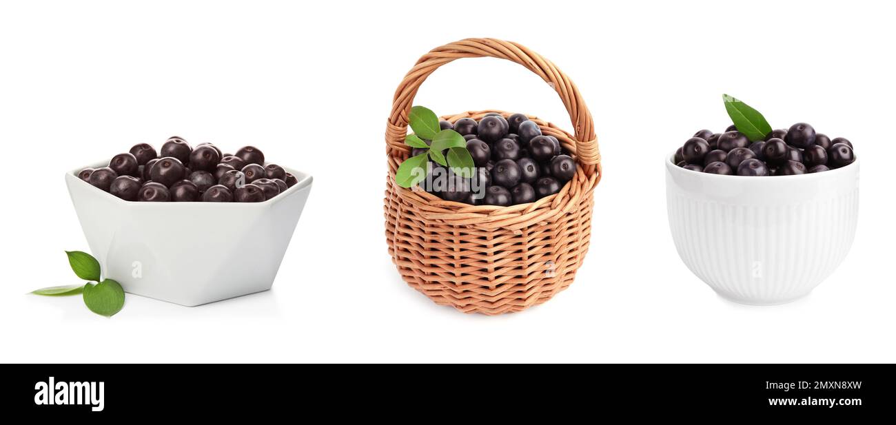 Set of fresh acai berries in bowls and basket on white background