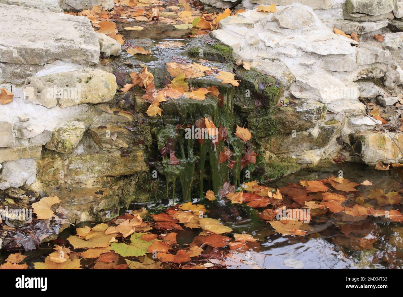 Waterfall with colorful fall leaves in the water Stock Photo
