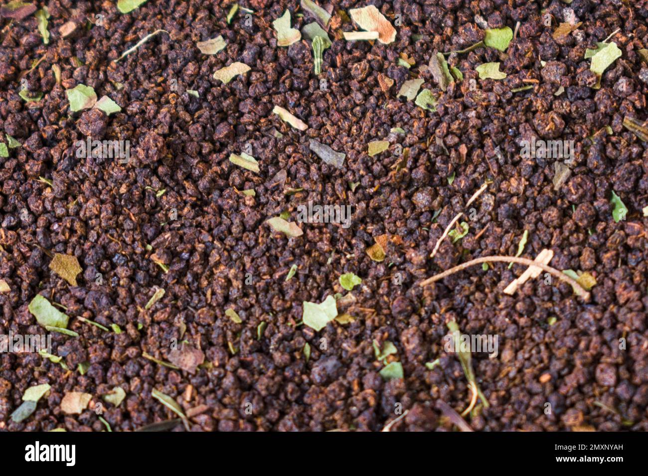 A top view texture background full of herbal tea leaves Stock Photo