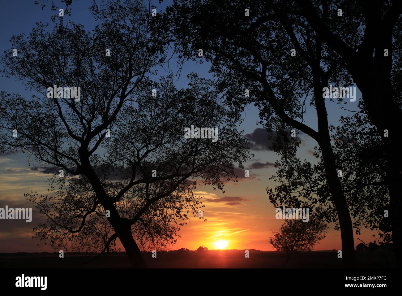 Silhouettes at sunset hi-res stock photography and images - Alamy