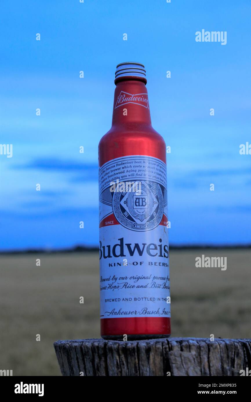 Budweiser Beer in a red metal Bottle shot closeup on a wood post with blue sky Stock Photo Alamy