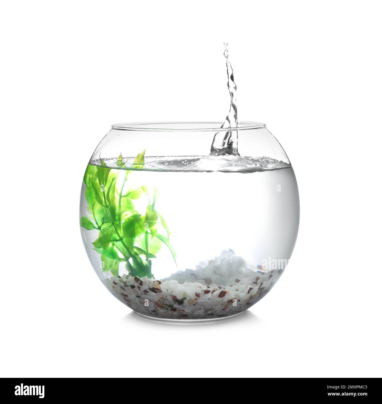 Splash of water in round fish bowl with decorative plant and pebbles on
