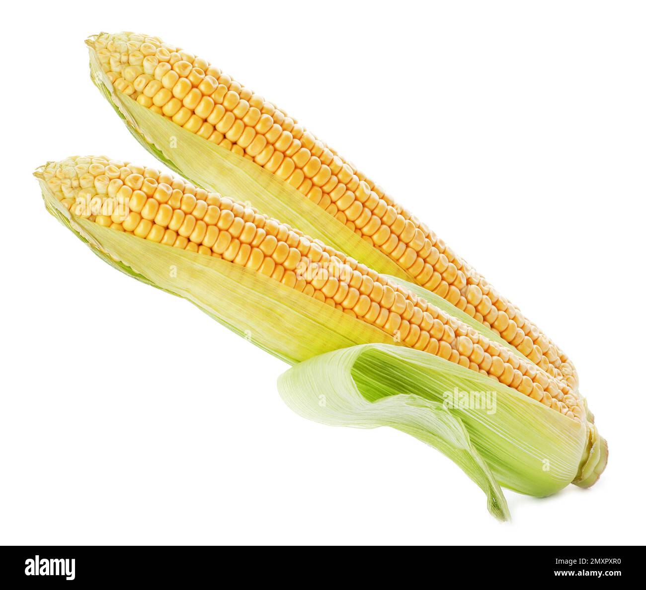 Fresh ripe corn cobs on white background Stock Photo - Alamy
