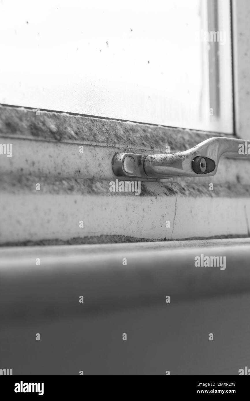 Condensation mould Black and White Stock Photos & Images Alamy