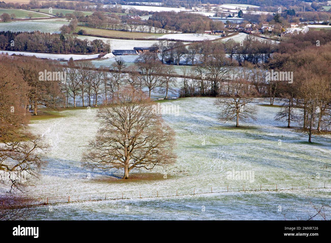 A light snowfall near the village of Chicksgrove in Wiltshire. Stock Photo