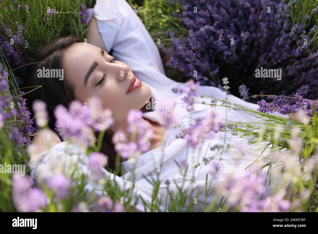 Young woman lying in lavender field on summer day Stock Photo Alamy