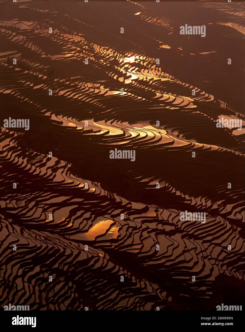 Yunnan yuan Yang terraces Stock Photo