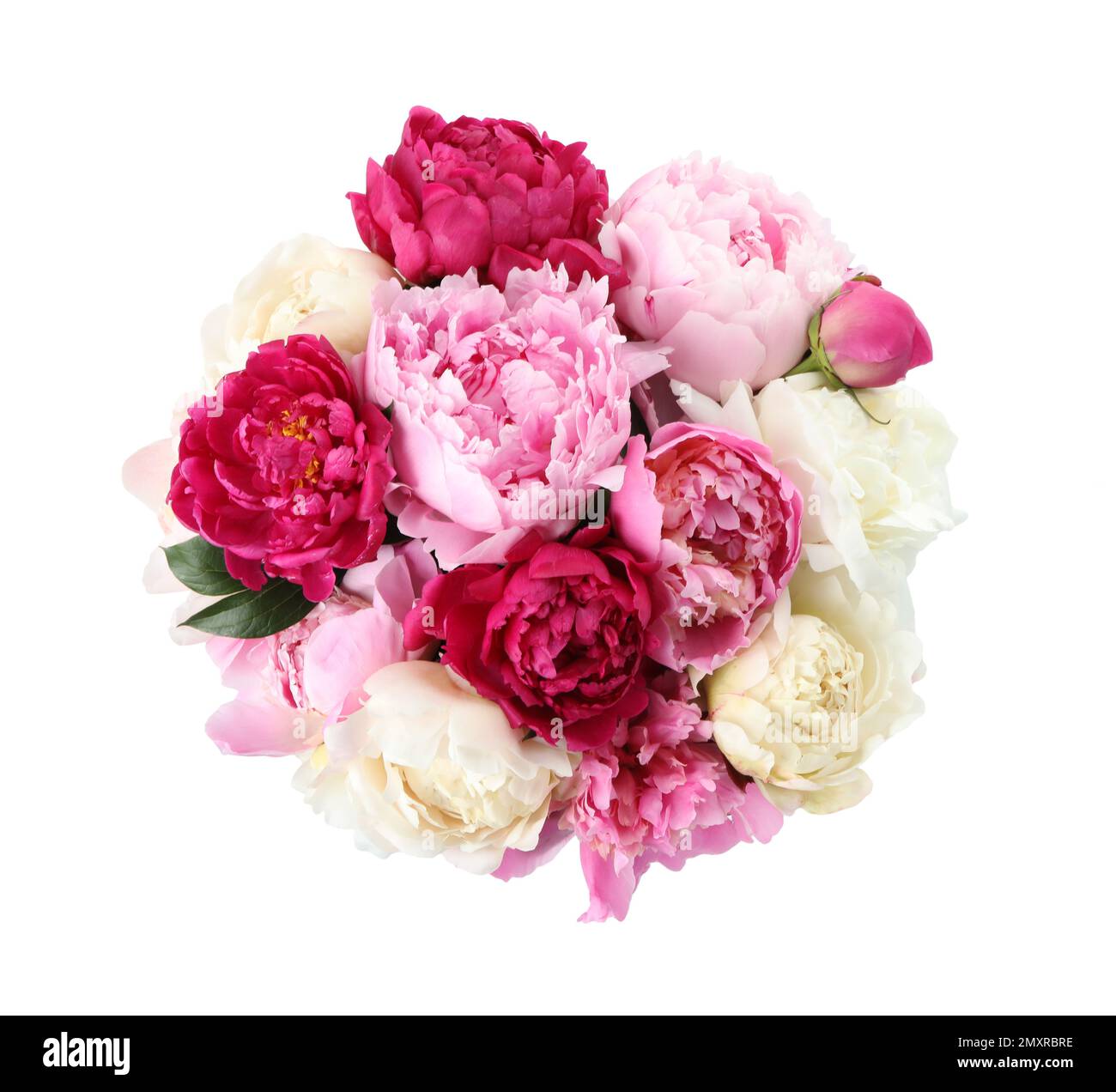 Bouquet of beautiful peonies on white background Stock Photo - Alamy