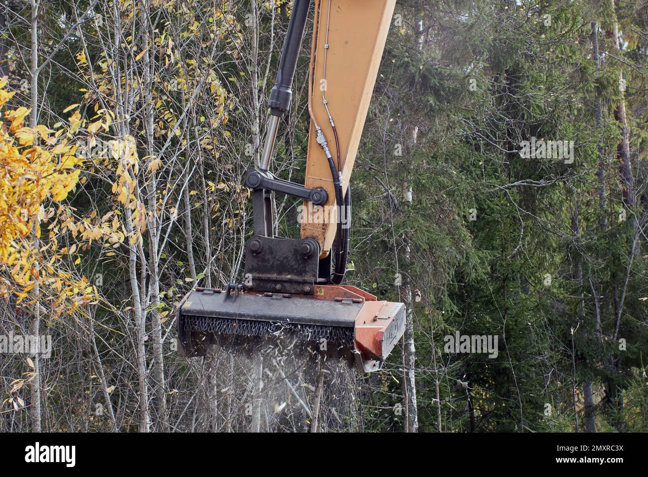 Land clearing equipment, forestry mulcher for excavator Stock Photo Alamy