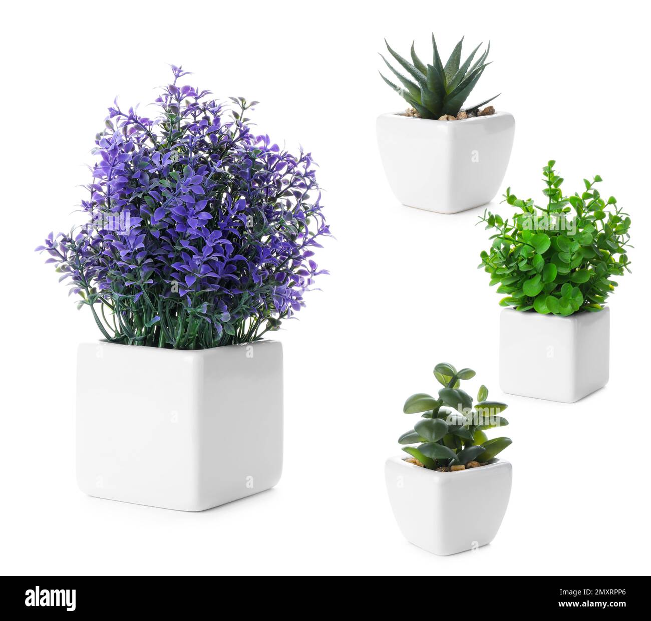 Set of artificial plants in flower pots isolated on white Stock Photo ...