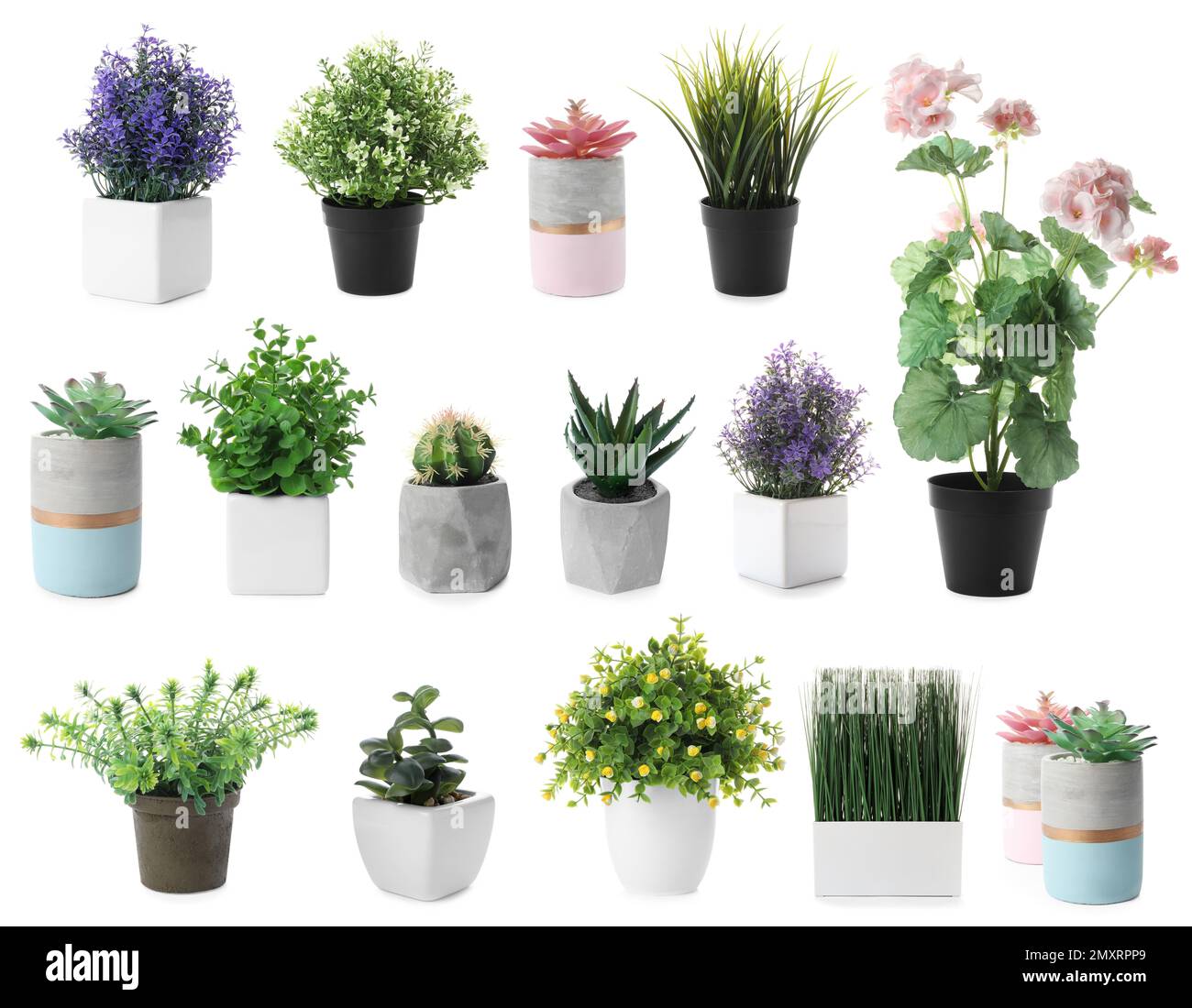 Set of artificial plants in flower pots isolated on white Stock Photo ...