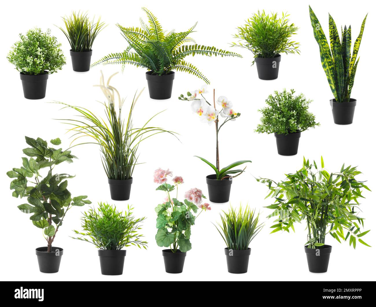 Set of artificial plants in flower pots isolated on white Stock Photo
