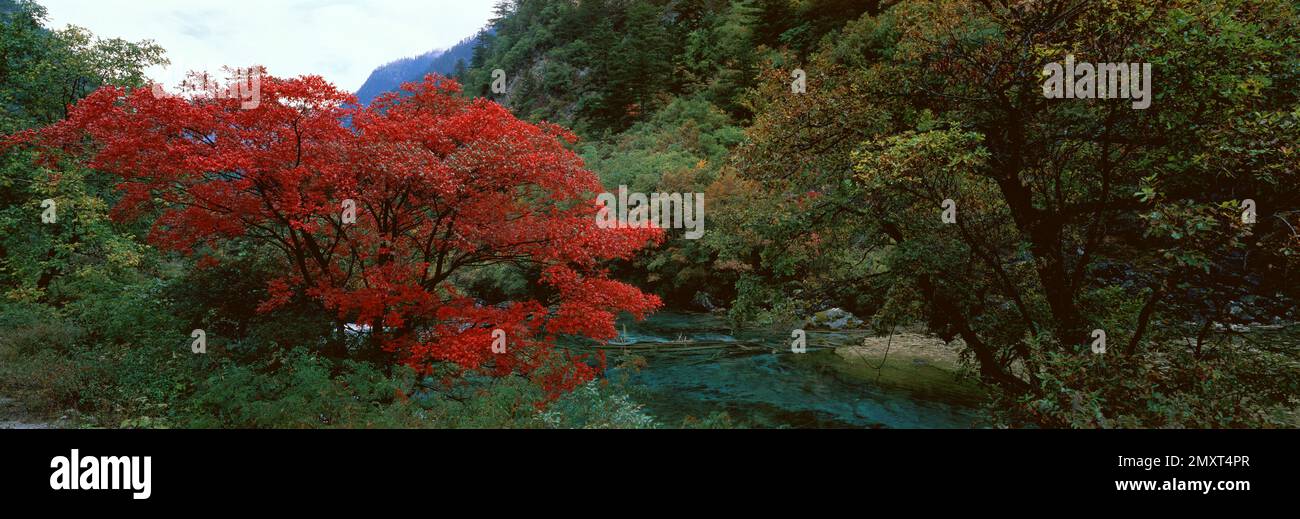 Jiuzhaigou in sichuan province Stock Photo