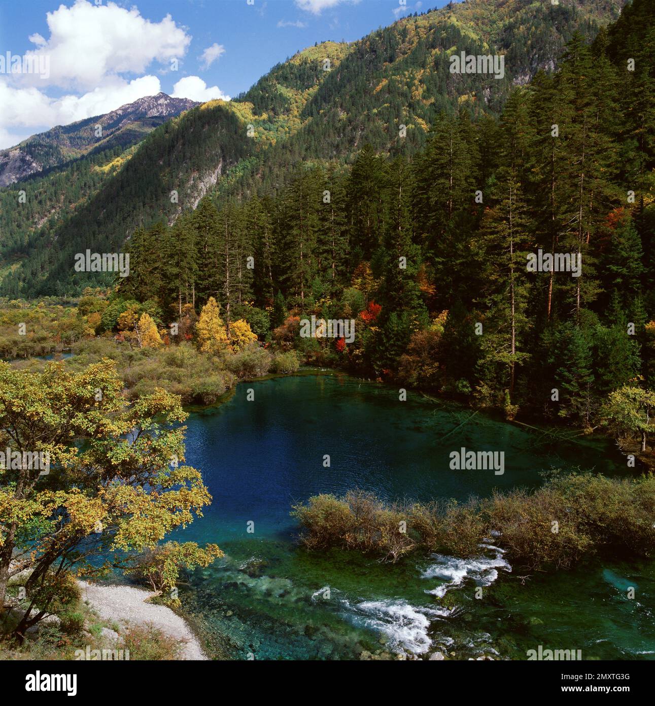 Jiuzhaigou in sichuan province Stock Photo