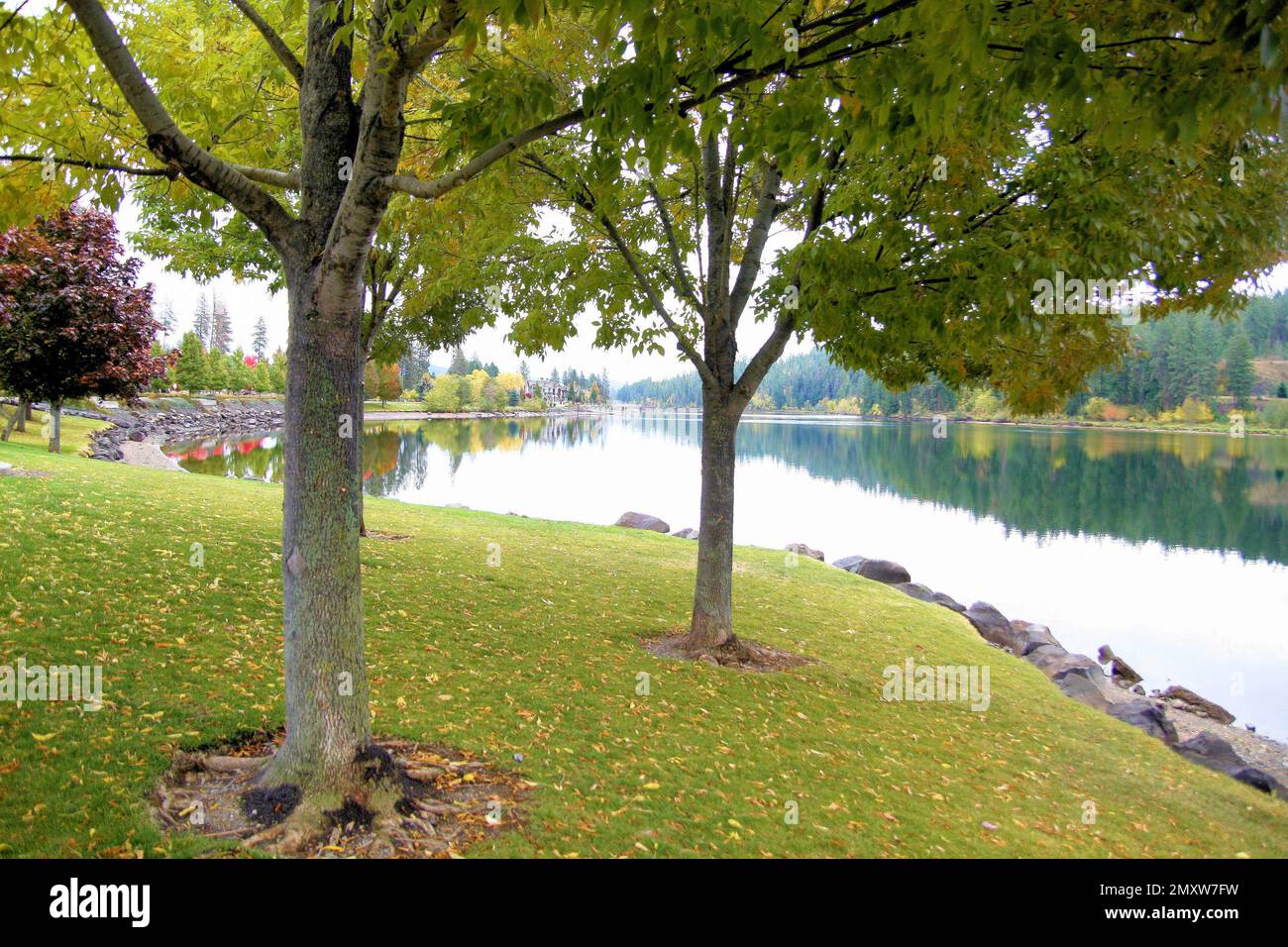 reflections on city park lake Stock Photo