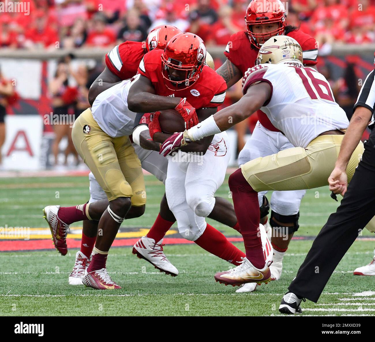 Louisville running back Brandon Radcliff (23) is hit by Florida State