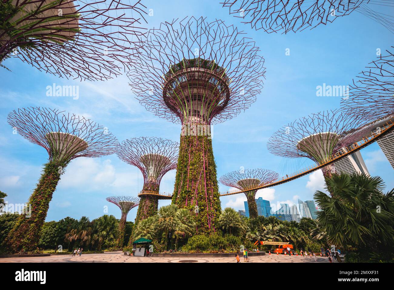 August 10, 2018: Supertree grove at marina bay garden in singapore, were conceived and designed by Grant Associates. Each supertree has its own plante Stock Photo