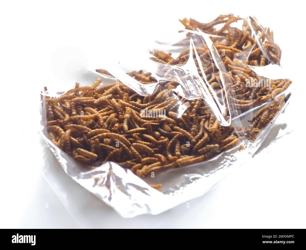Mealworms approved as human food Stock Photo Alamy