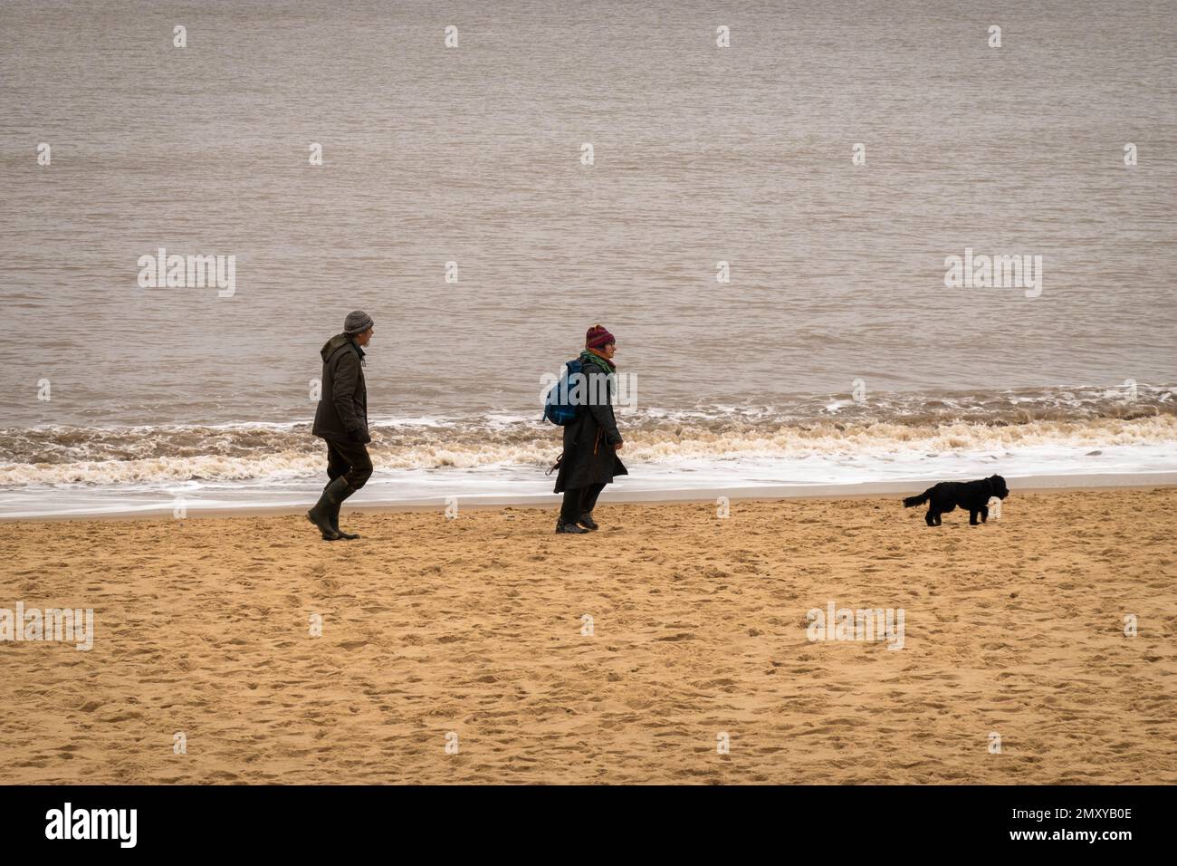 Man and women walking dog in winter along beach in Norfolk Stock Photo
