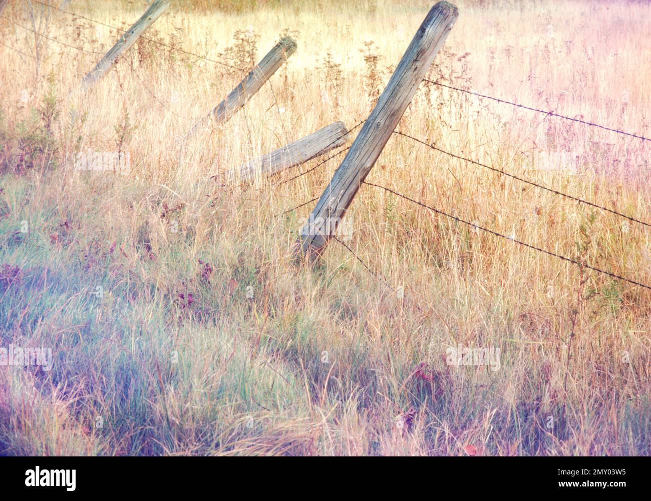 Fence North Ferrisburgh VT Stock Photo Alamy