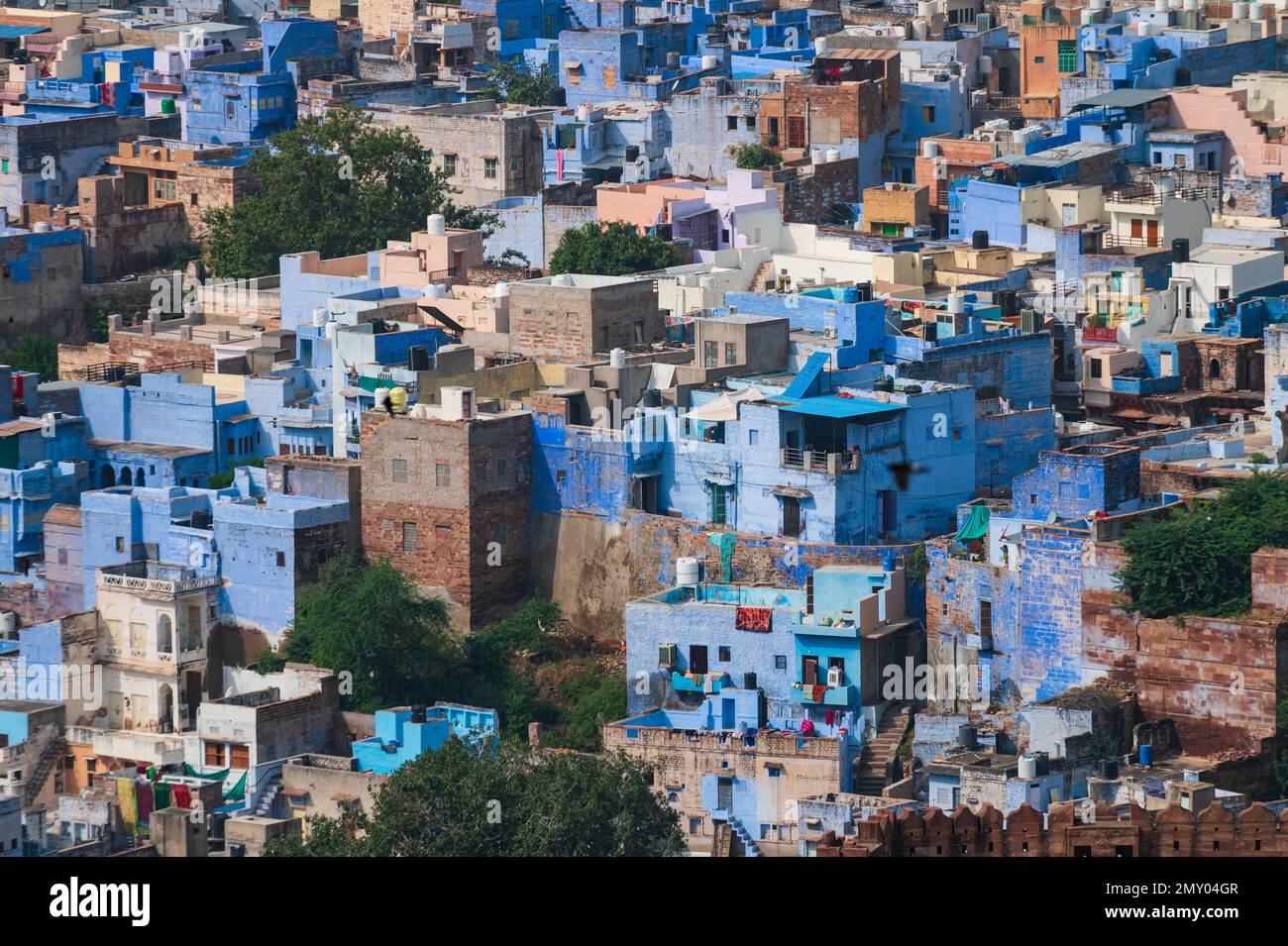 Aerial view of blue city,Jodhpur,Rajasthan,India. Resident Brahmins worship Lord Shiva and painted their houses in blue as blue is his fav colour. Stock Photo