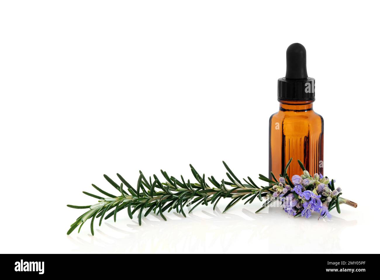 Rosemary herb herbal plant medicine and food seasoning with