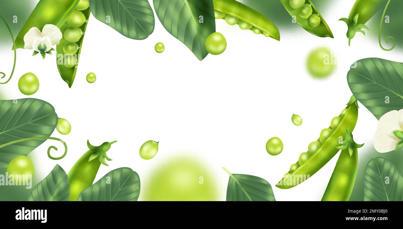 Realistic peas frame with green beans on white background vector