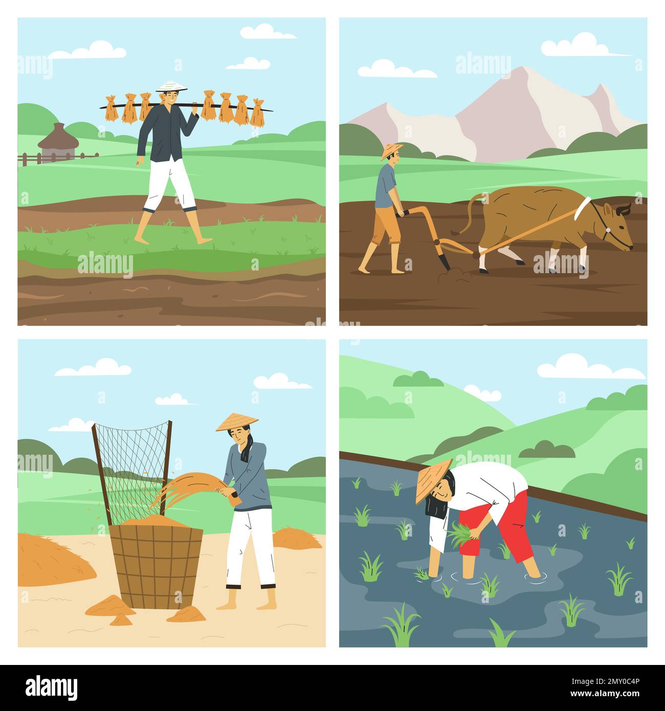 Asian farmers flat 2x2 set with men and women working on fields harvesting rice ploughing with bull isolated vector illustration Stock Vector