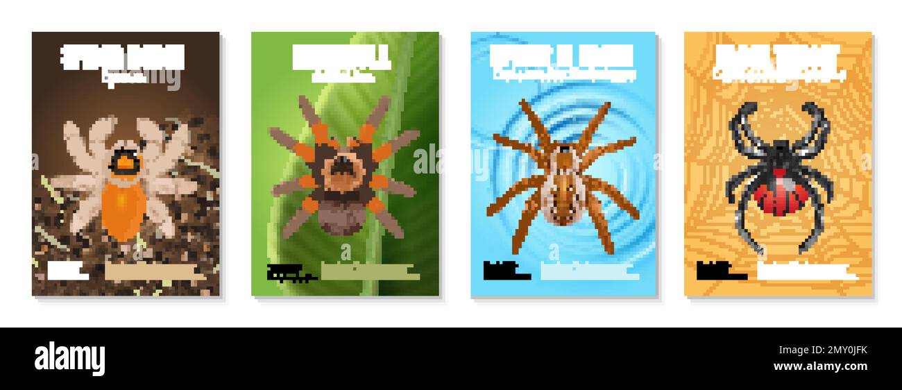 Four vertical realistic spiders poster set with spider horse tarantula black widow vector illustration Stock Vector
