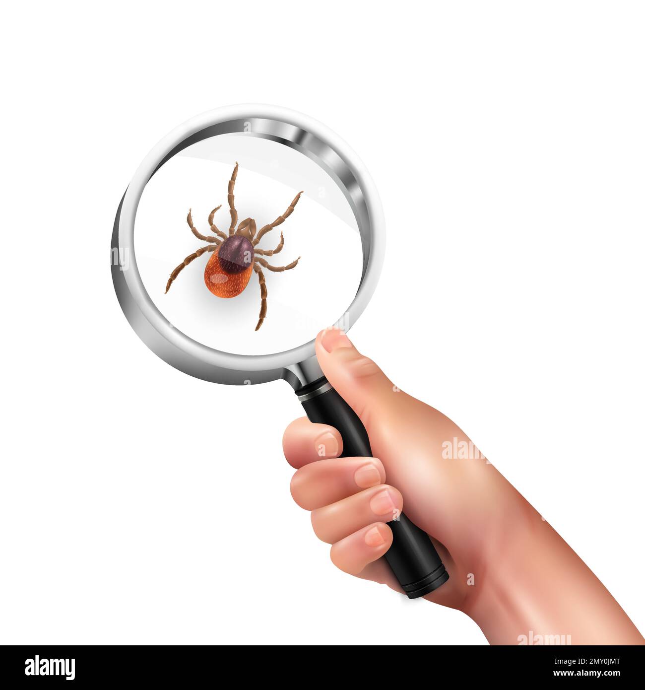 Realistic spider mite lens composition magnifying glass in a mans hand with mite vector illustration Stock Vector