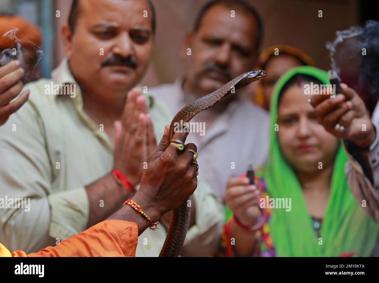 Hindu devotees light incense and offer prayers to a snake during Nag