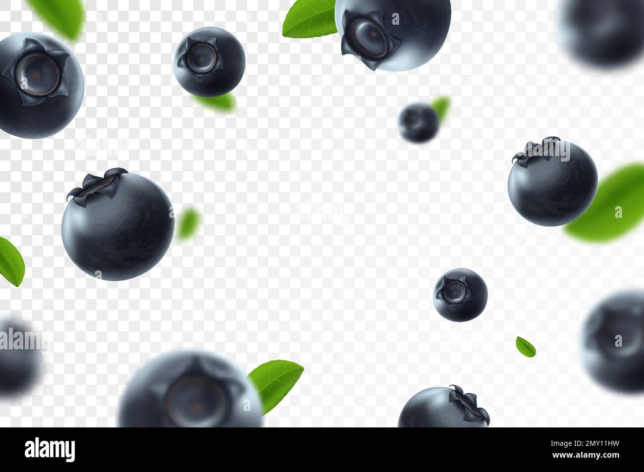 Blueberry background. Fresh berry with green leaves on transparent