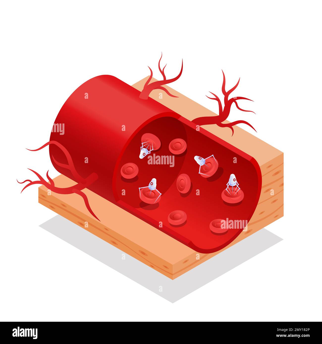 Isometric futuristic nanotechnology nanomedicine concept with blood robots in artery 3d vector illustration Stock Vector