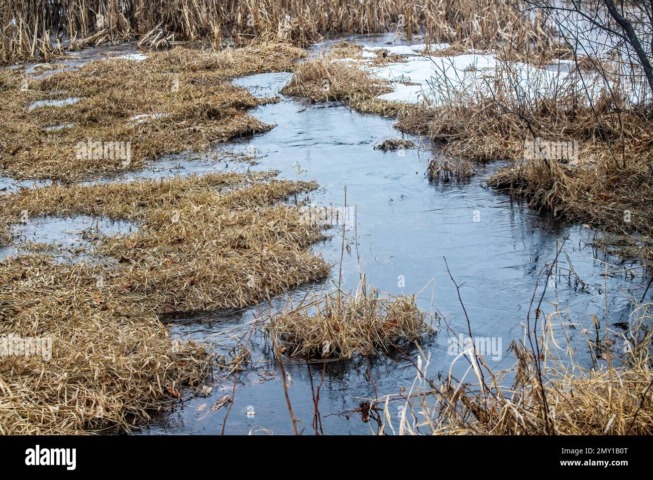 Wetland at the Big Marine Park Reserve, Marine on St. Croix, Minnesota