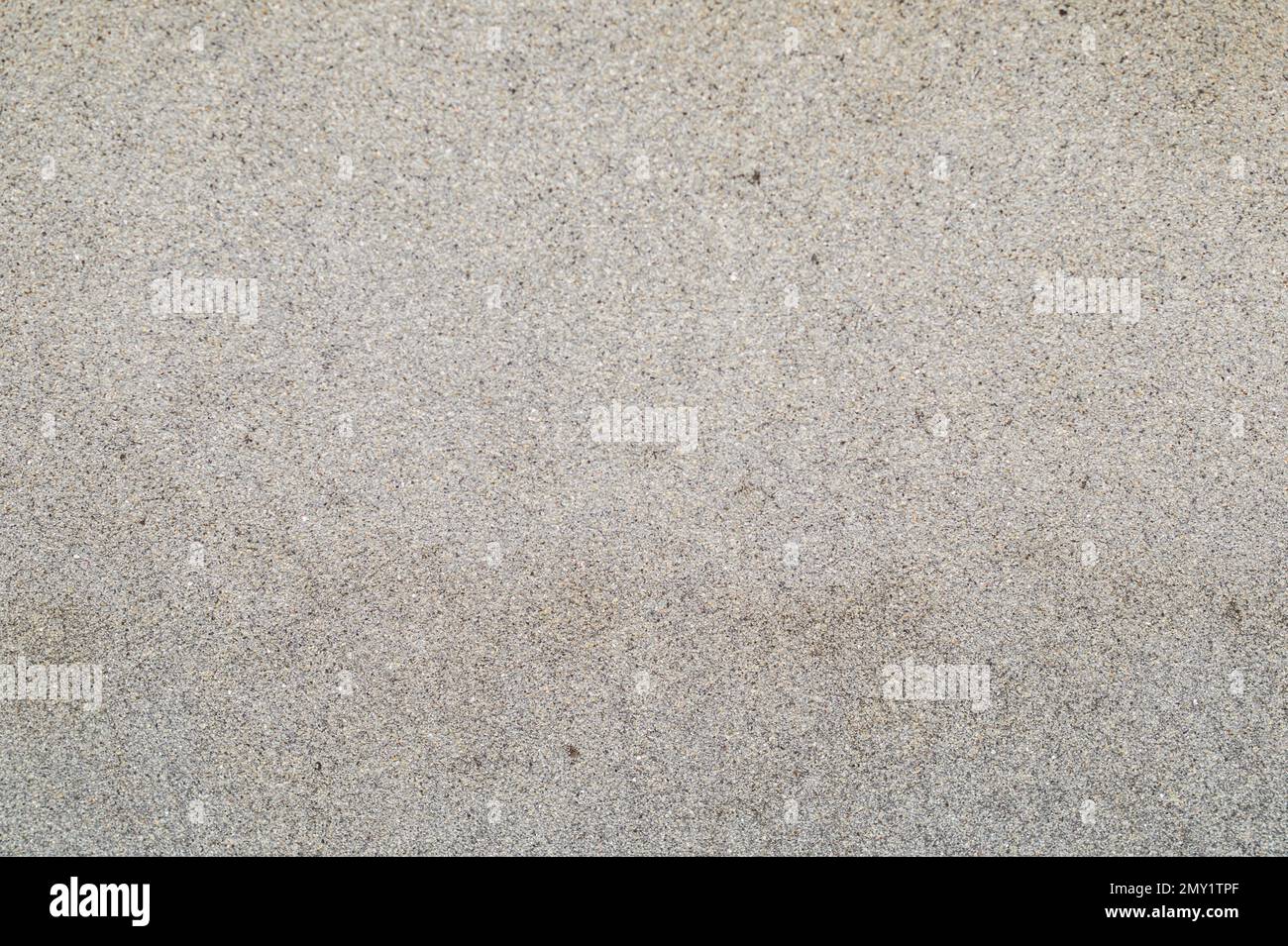 Rough plaster on a gray wall Stock Photo