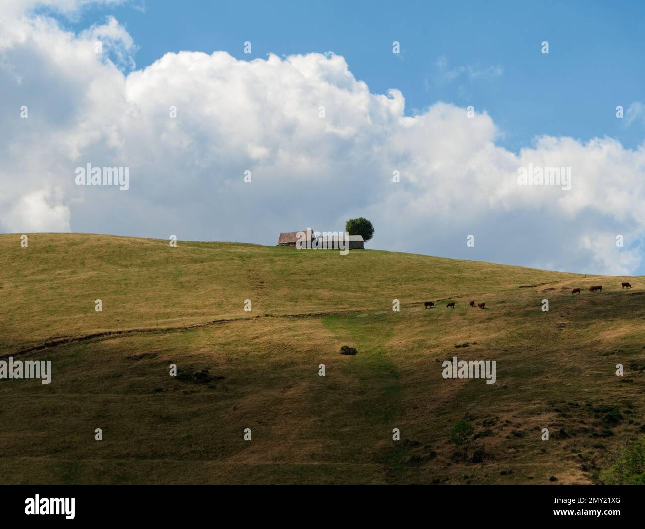 Farm on a hill Stock Photo - Alamy