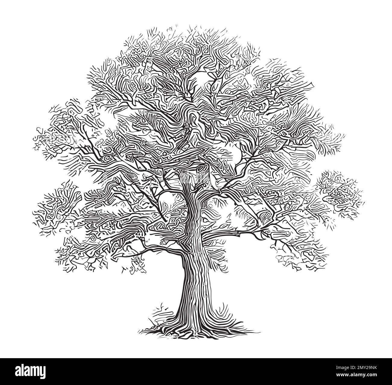 Tree of life sketch hand drawn in doodle style illustration Stock