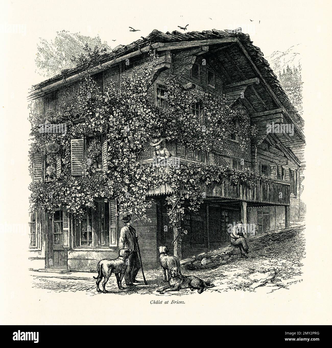 Antique engraving of a chalet at Brienz, canton of Bern, Switzerland. Illustration published in Picturesque Europe, Vol. III (Cassell & Company, Limit Stock Photo